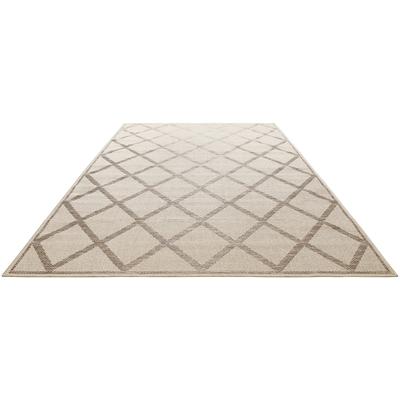 Teppich HOMIE LIVING "Bergamo HL-45574", beige (beige, grau), B:160cm H:5mm L:225cm, Polypropylen (PP), Teppiche Image