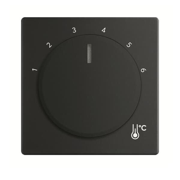 Busch-Jaeger Zentralscheibe 1794 R-885 2CKA001710A4205 Image