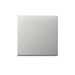 Gira Wippe 3296600 Image