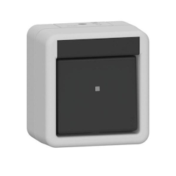 Gira Wippschalter 310730