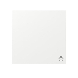 Gira Wippe Symb. Licht 328570 Image