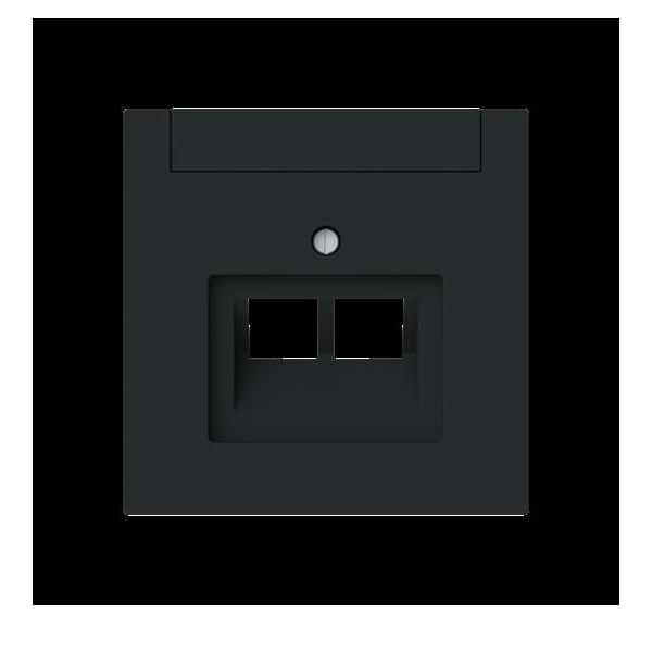 Busch-Jaeger Zentralscheibe 2-fach, UAE 1803-02-45M 2CKA001710A4230 Image