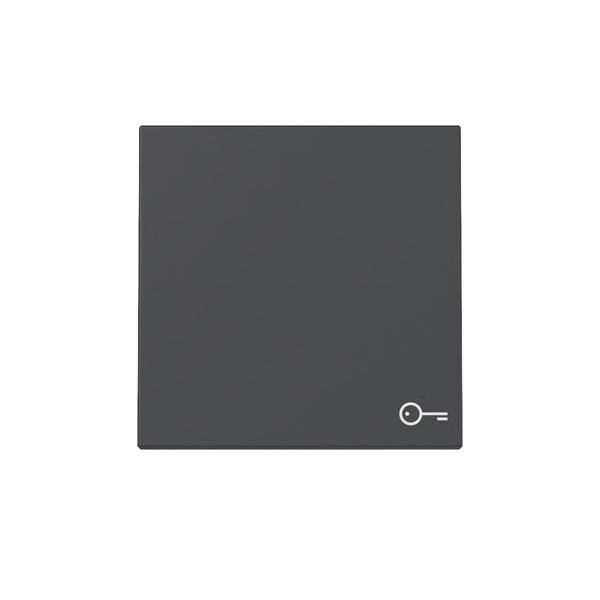 Gira Wippe Symb. Tür 328728 Image