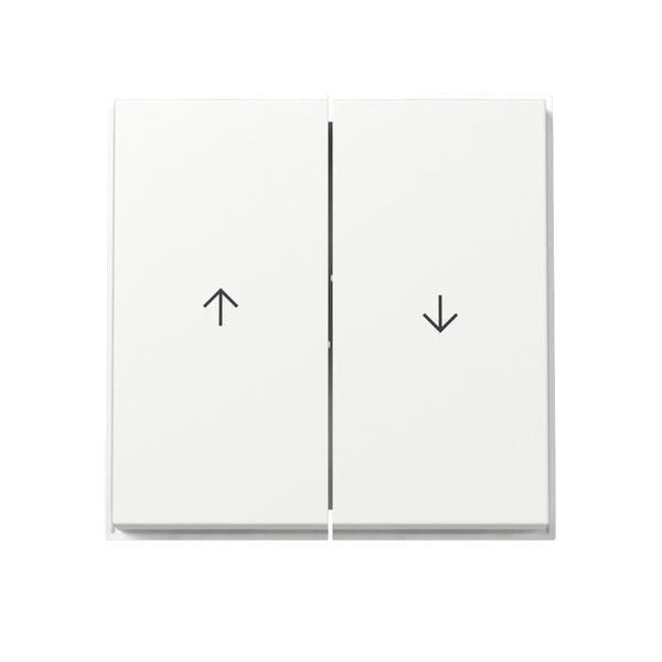 Gira Wippe 2f Pfeil 329466 Image