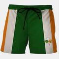 Herren Farbblock Vierblättriges Kleeblatt Badeshorts Shorts Strandshorts Mittlere Taille Mode Streetwear Ferien St. Patrick's Day Elastischer Bund Kordelzug Designer Bekleidung