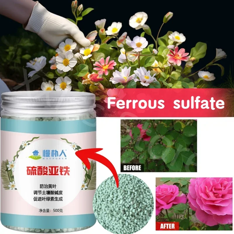 500g Eisensulfat Blumen dünger Boden verbesserung Säure Rose Kamelie grün Lorbeer Orchidee gelber Blatt dünger
