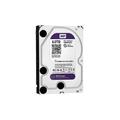 Hard disk 3,5 Western Digital purple 6TB SATA3 64MB WD60PURX videosorveglianza