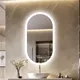 Specchio da bagno ovale a LED Specchio cosmetico da parete 500x1000mm con antiappannamento 3 colori Illuminazione dimmerabile Funzione di memoria Smart Switch