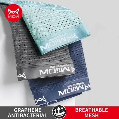 MiiOW 3Pcs Sexy Mesh Männer Boxer Unterwäsche Graphene Antibakterielle Mann Höschen Eis Seide männer Unterhose Atmungsaktive 4XL Boxershorts Image