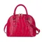 2024 dames sac à main coquille Mini sac à main femmes mode nouveau motif Crocodile coquille