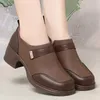 2024 neue Slip Auf Frühling Weiche Schuhe Frau Vintage Damen Kleid Pumpen Dicke High Heels Plattform Schuhe Retro Braun Täglichen Schuhe