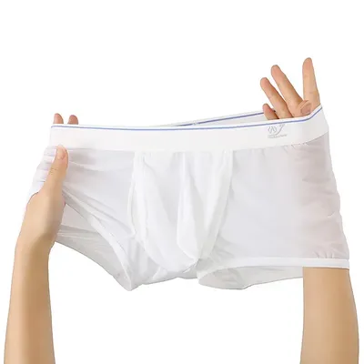 1PCS Eis Seide Raum Kapsel Unterwäsche Männer Fach Solide Sommer Atmungsaktive Ultra-dünne Boxer Image
