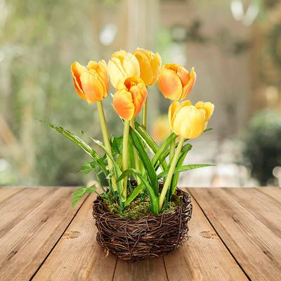 Kunstblume Tulpennest Eldo Image