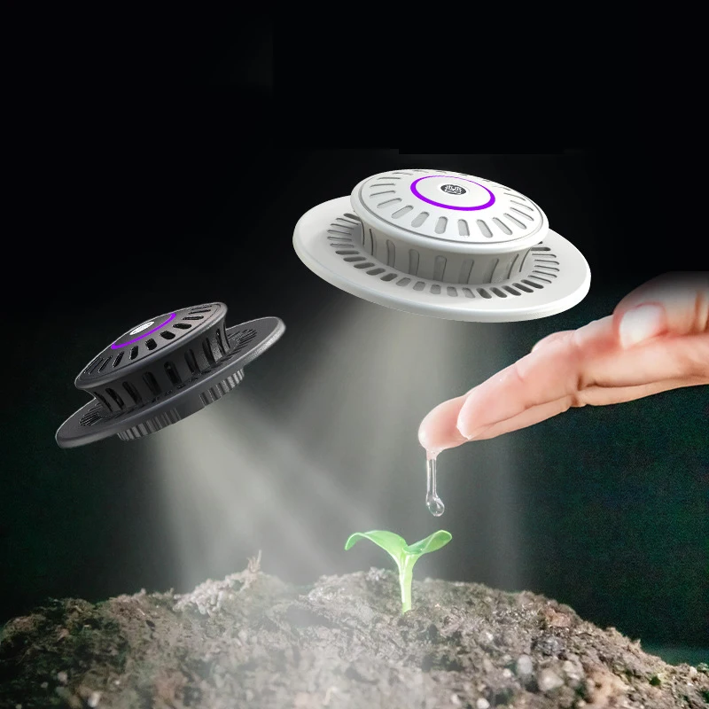 F2 Miniatur-Gartenpflanzen-Terrarium aus Glas mit Wachstumslicht, saftiges Moos, Landschaft, Glas-Terrarium, Pflanzenliebhaber-Geschenk Image