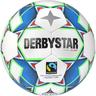 DERBYSTAR Ball Gamma S-Light v22, Größe 3 in weiß blau grün