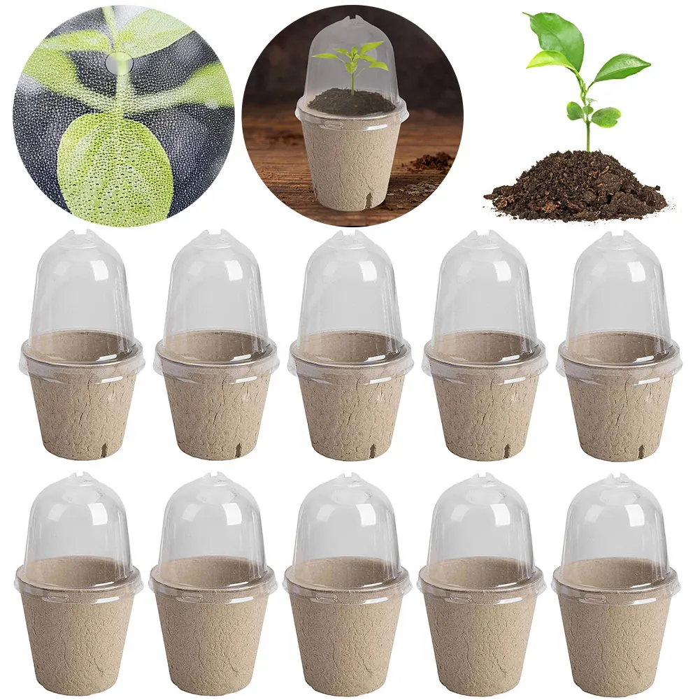 10Pcs Sämling Tasse Sämling Topf Transparent Deckel Gewächshaus Zucht Box Biologisch Abbaubare Pflanzen Wachsen Tasse Vielseitig für Gartenarbeit Image