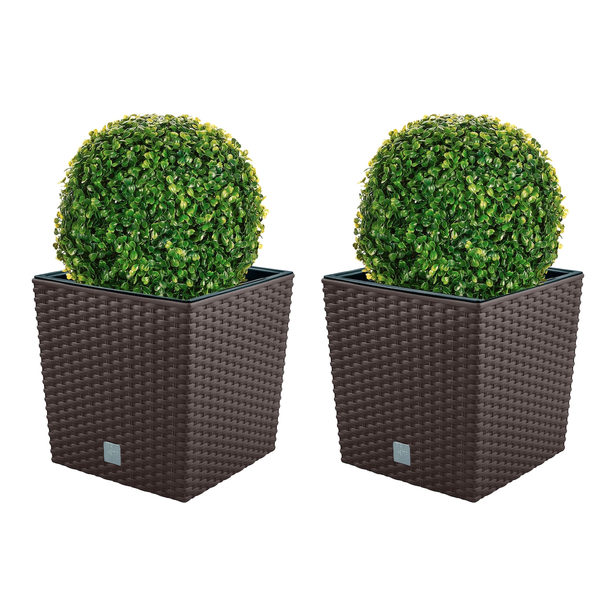 WellHome - Doppelpack Topf 32L mit Buchskugel 27 cm in Schokolade Image