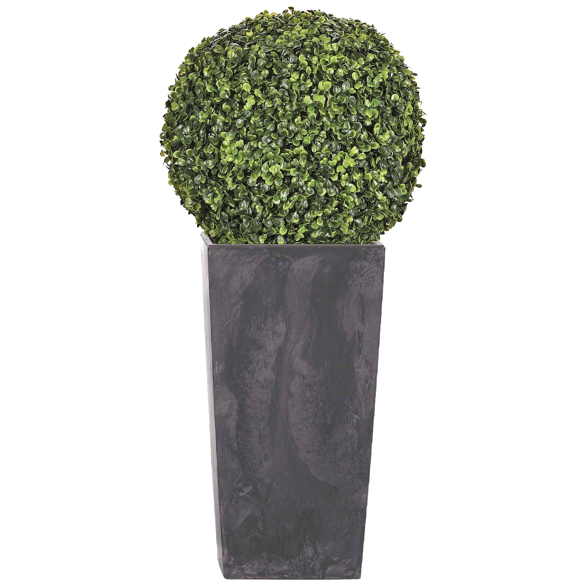 WellHome - Hoher Topf 35L Urbi Square Effect in Anthrazit mit Buchskugel 36 cm Image