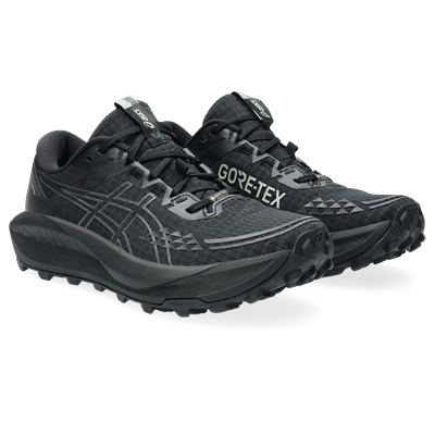 Trailrunningschuh ASICS "GEL-TRABUCO 13 GORE-TEX", Gr. 40,5, schwarz (schwarz, graphite grau), Textil, Synthetik, sportl