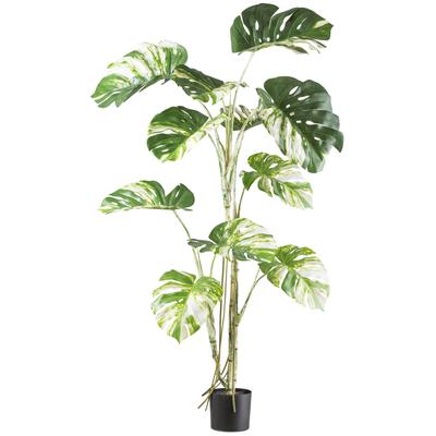 Kunstbaum CREATIV GREEN "Monstera deliciosa variegata", grün (grünweiß), H:160cm, Kunststoff, Kunstpflanzen, mit grün-weißen Blättern Image