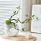 Artificial Tree Branch Green Leaves Fake Greenery for Home Indoor Outdoor Garden Balcony Decoration