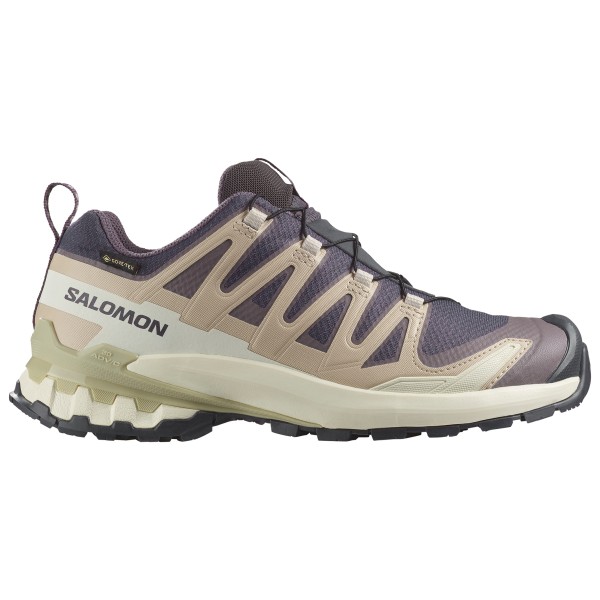 Salomon - Women's XA Pro 3D V9 GTX - Multisportschuhe 42 2/3 | EU 42 beige
