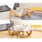 Simple cat casual play Shaker cat sleeping pet bed leather easy to clean pet supplies Pet dog bed