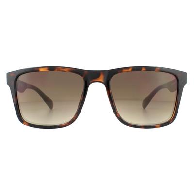 Devinez Les Lunettes De Soleil GU6928 52G Sombre Havana Noir Brun Dégradé