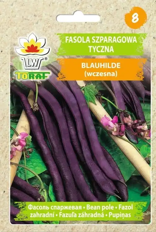 Blauhilde Tic Beans 10g TORAF Gemüsebohnenkerne Image