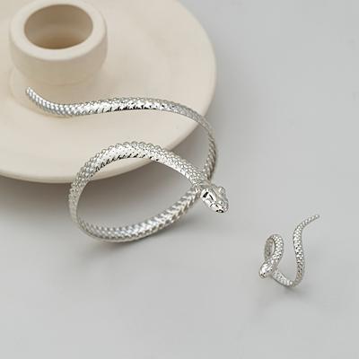 TEMU 2pcs Bohemian Retro Dark Trend Cool Snake-shaped Ring Bracelet Combination Set Image