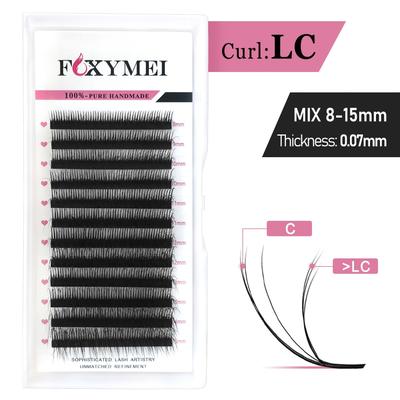 TEMU 12rows L+c/d 3d Effect Camellia Eyelashes Extension Manhua Wispy Fluffy Volume Lashes Soft Natural Dramatic Premade Fans Mix Tray Fluffy Auto-fan Wispy Individual Lashes Festive Atmosphere Image