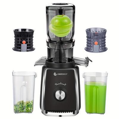 TEMU Juicer Slow Juicer 103mm Wide Shaft - 250w Juicer Vegetable And Fruit Juicer, Easy Clean Cold Press Juicer With 2 Patented Filters, Quiet Motor, Reverse Function Image
