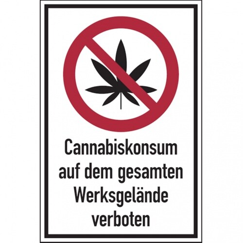 König Werbeanlagen Dreifke® Verbotsschild, Cannabiskonsum auf dem gesamten Werksg - 200x300x2 mm Aluverbund Image