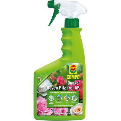 Duaxo Rosen Pilz-frei af 750ml - Compo