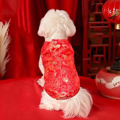 Pet+Costumes