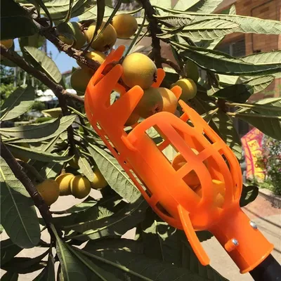 Garden+Tools