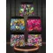 5-pack fashionable men