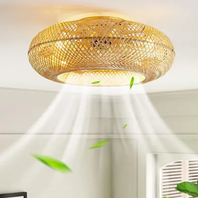 Ceiling+Fans