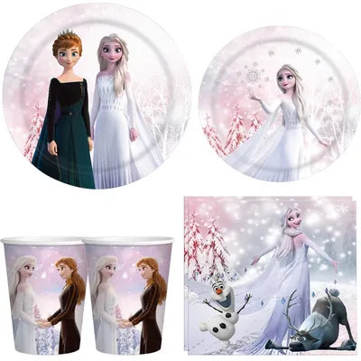 Disney Frozen happy Birthday party for party Disposable tableware girl fover party decor Snow Queen