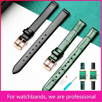 Watch+Accessories