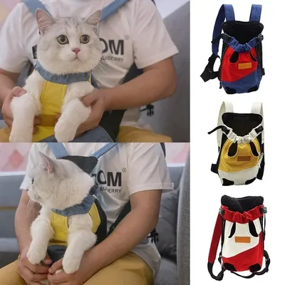 Cat+Supplies