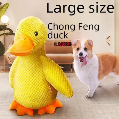 More+Pet+Supplies