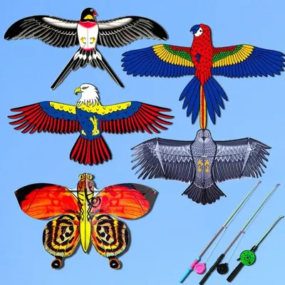 30 Meter Family Trips DIY Toy Children Gift Kite Line Plastic Eagle Kite Flying Bird Kites Large