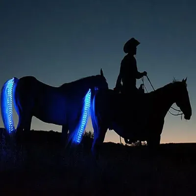 Equestrian+Clothing+Equipment
