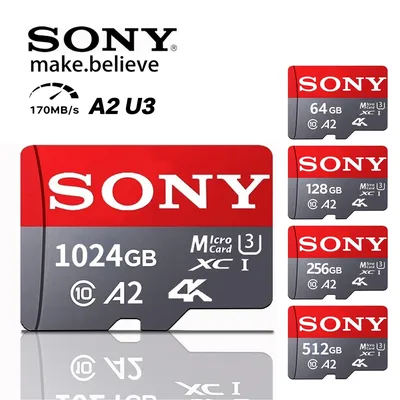 Memory+Cards