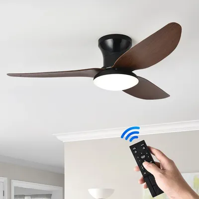 Ceiling+Fans