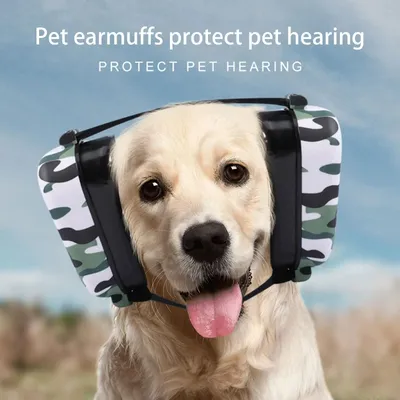 Small+Pet+Supplies