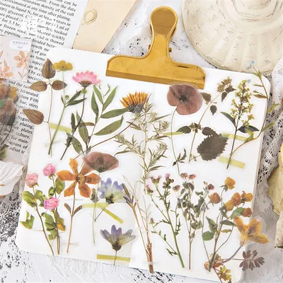 Flowers+Plants