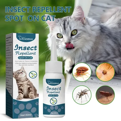 Pet Flea Killer Drops Anti Fleas Cats Ticks Lice Mite Removal Relieve Itching Dogs Ringworm