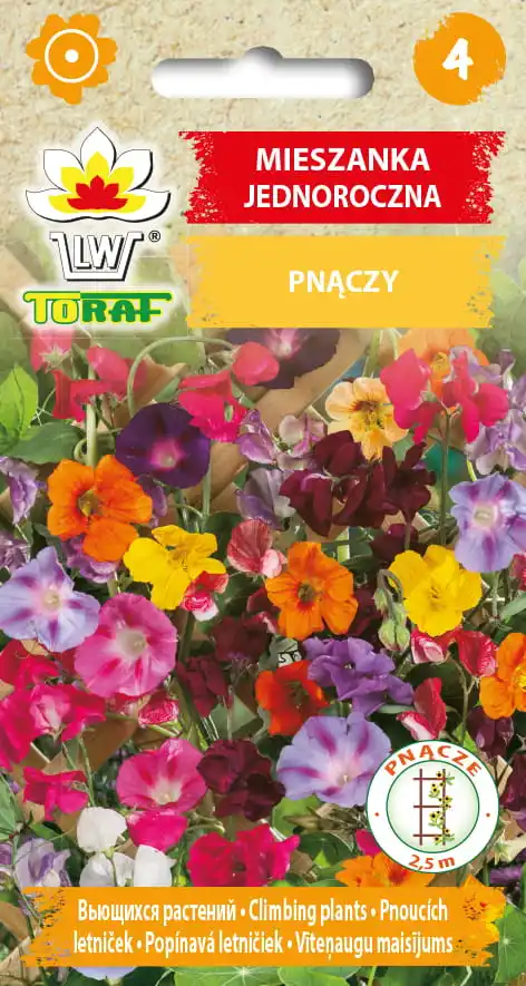 Eine Mischung aus Creepers 2G Blumensamen für Haus- und Gartenblumen Image